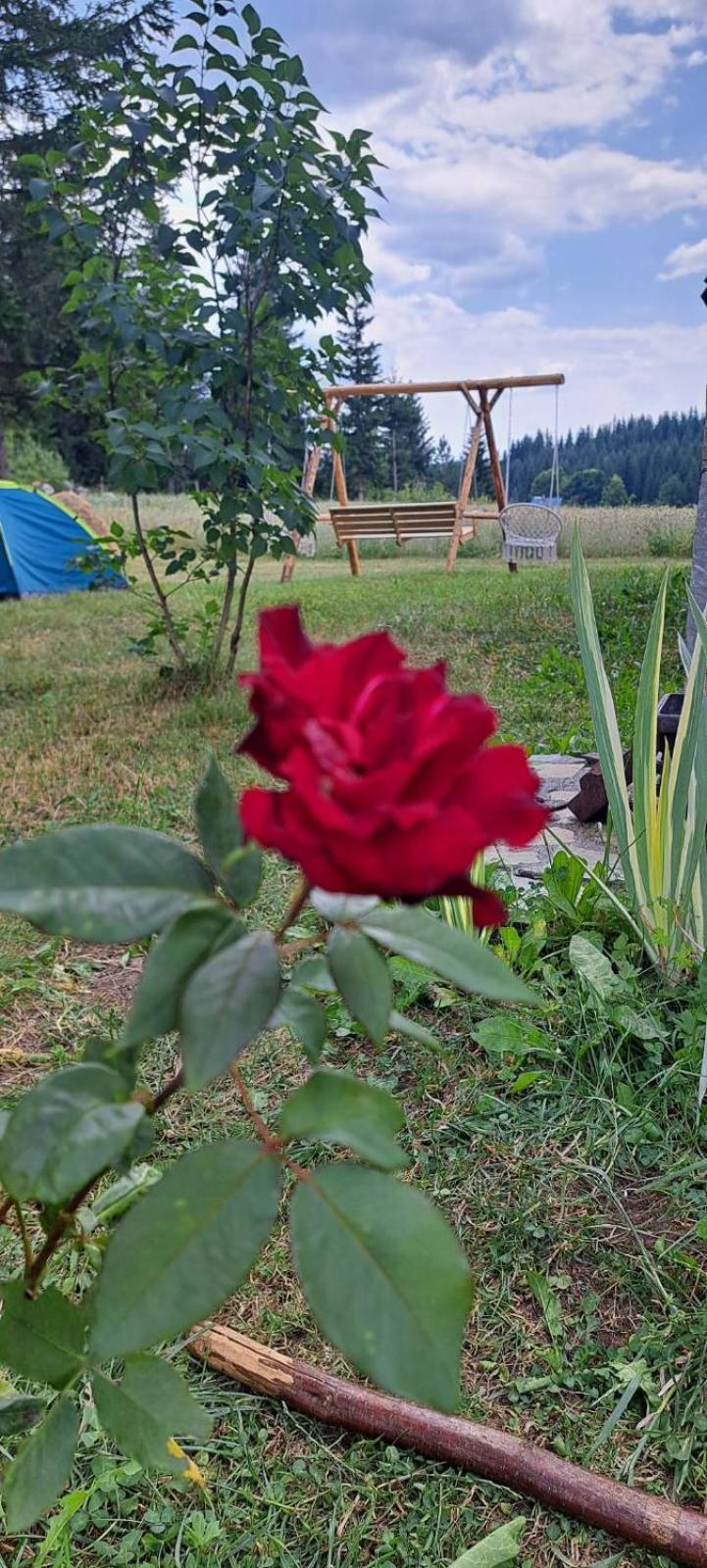זבליאק Eco Village Podgora Household Kaljevic מראה חיצוני תמונה